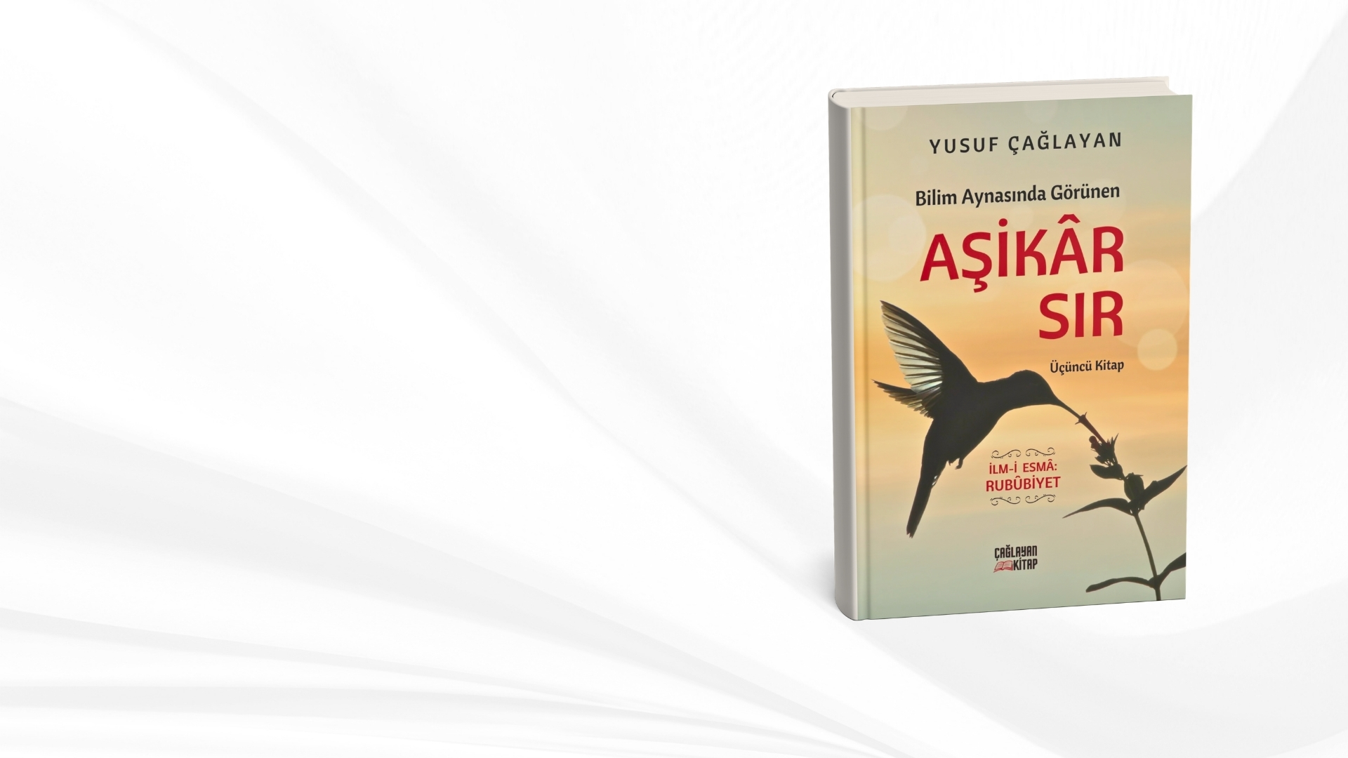 Bilim Aynasında Görünen AŞİKAR SIR